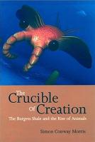 Crucible of Creation