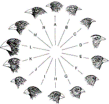 Please Read On for Evolutionary Biology News