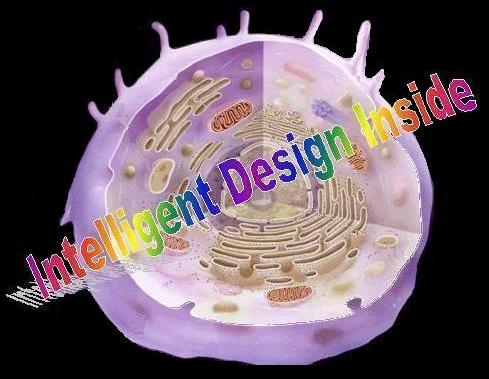 Intelligent Design Inside!