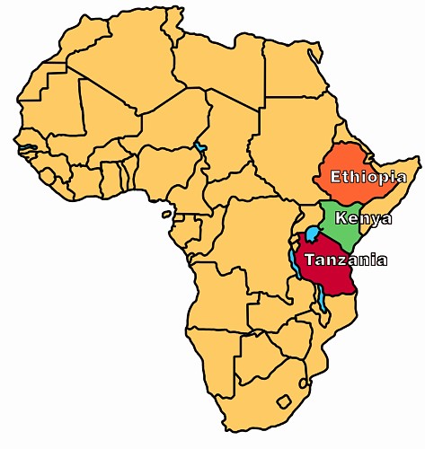 Various East African countries, such as Ethiopia, Kenya, and Tanzania have yielded famous hominid fossils.