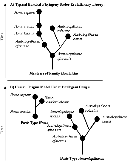 phylogenies.gif