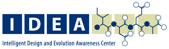 The IDEA logo.