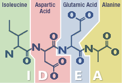 In organic chemistry, each amino acid is ascribed an alphabetical letter for identification. By putting together the four amino acids Isoleucine (I), Aspartic Acid (D), Glutamic Acid (E), and Alanine (A), the logo spells IDEA through biochemistry. 
