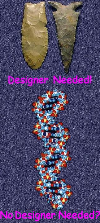 Designer Needed!