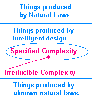 The intelligent design and evolution awareness idea 