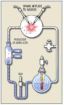 The Miller-Urey Experiment